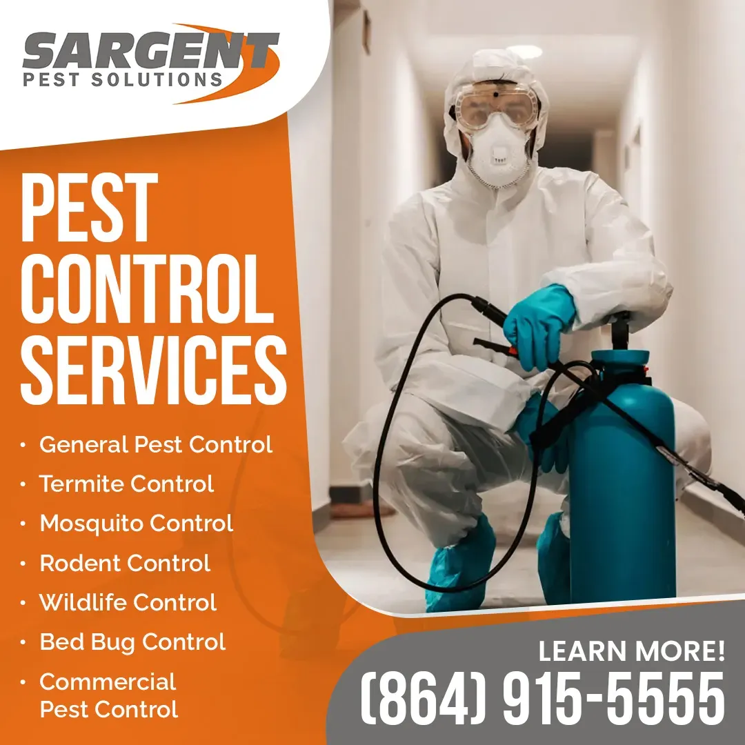 What Makes Sargent Pest Solutions Different