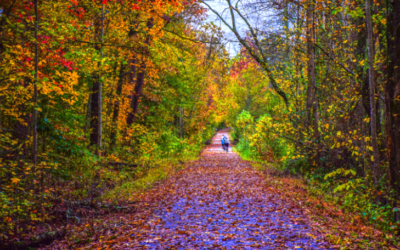 Fall Pest Control in Upstate South Carolina: A Homeowner’s Guide from a Master’s Degreed Entomologist