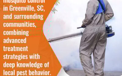 Mosquito Control For Summer In South Carolina