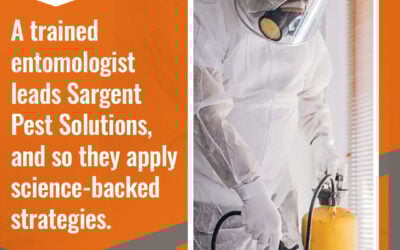 Top Reasons to Choose a Locally Owned Pest Control Company in Greenville Over National Chains