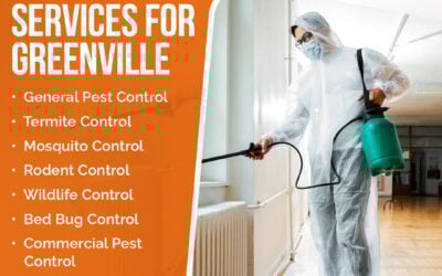Sargent Pest Solutions: Keeping Your Greenville Home Pest-Free