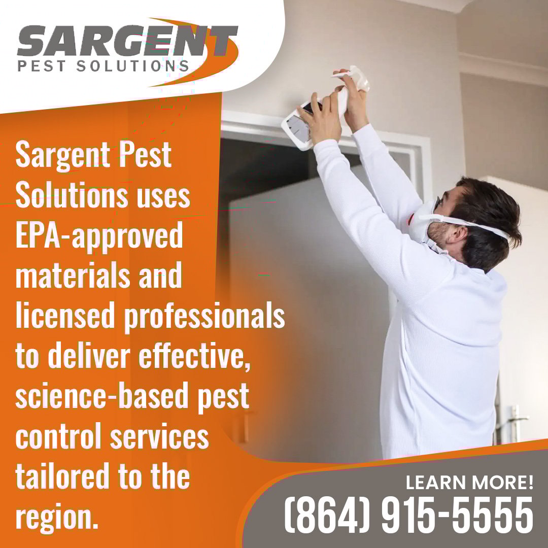 pest control companies