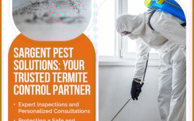Sargent Pest Solutions: Protecting Your Greenville Property from Termites