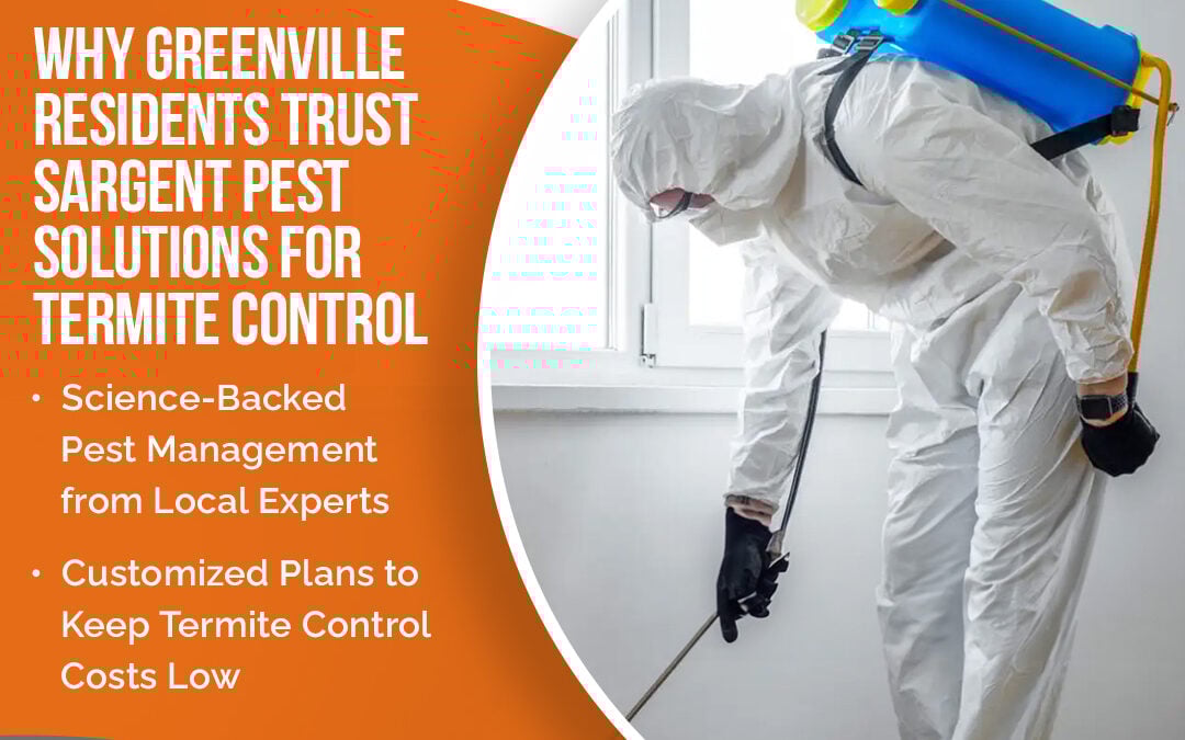 Termite Trouble in Greenville? Signs Your Home Needs Termite Control Services ASAP