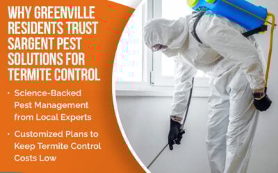 Termite Trouble in Greenville? Signs Your Home Needs Termite Control Services ASAP