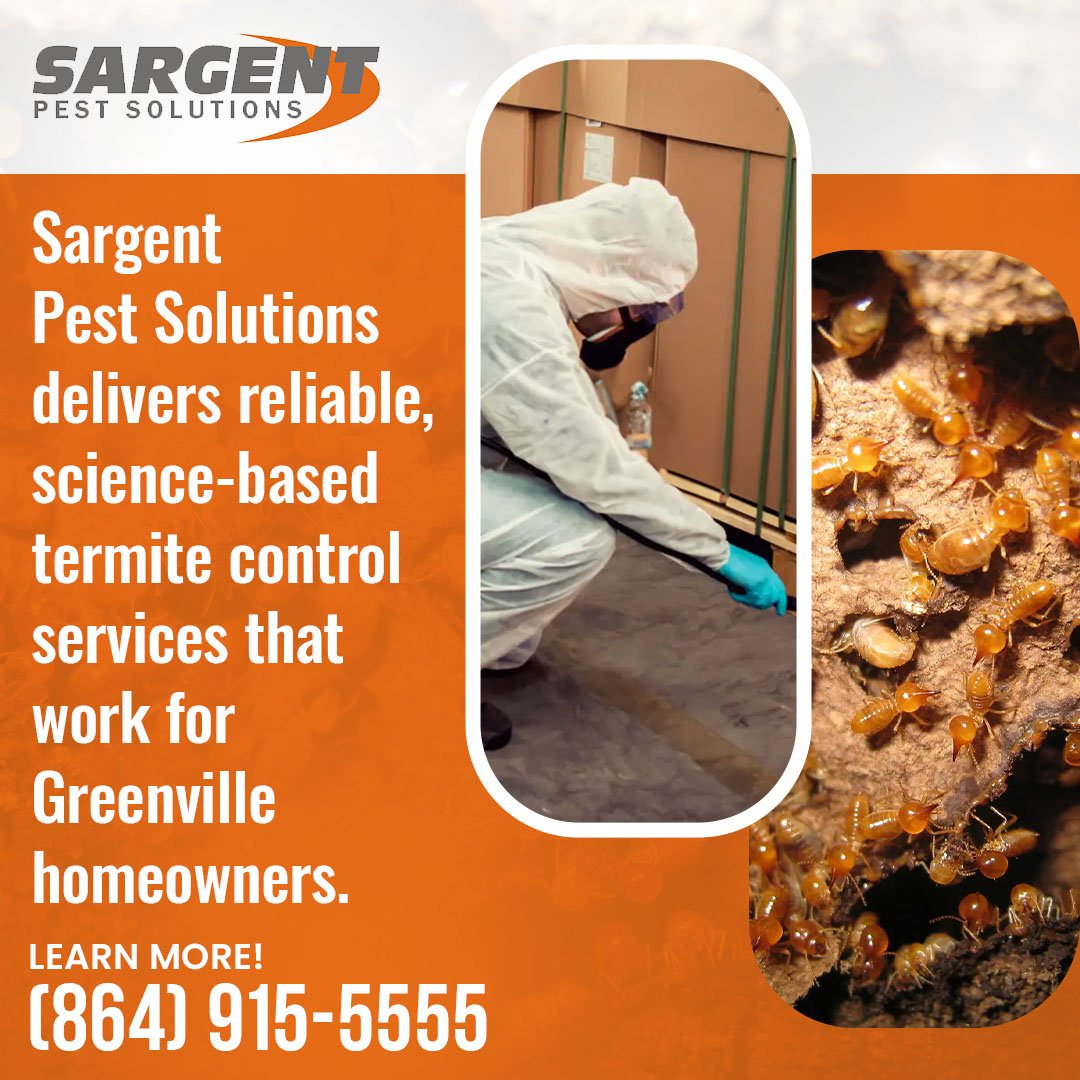 termite control companies