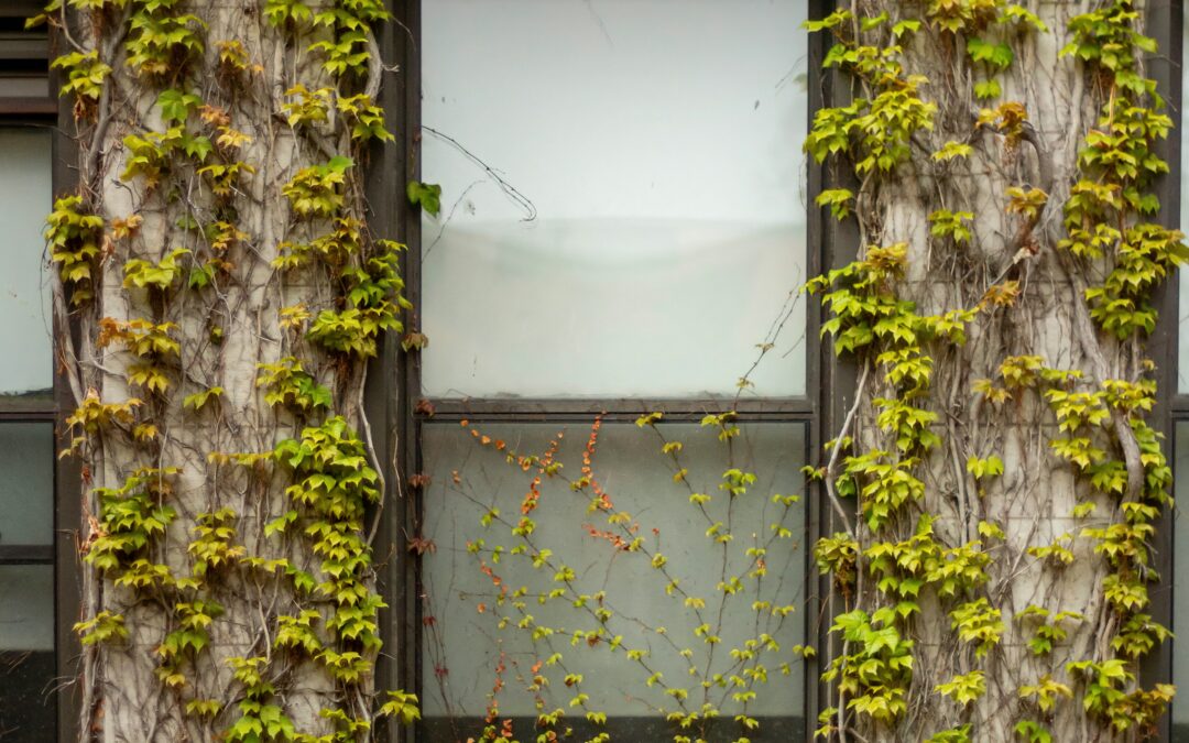 Why Your House Suddenly Has a Pest Problem: The Four Things to Check First