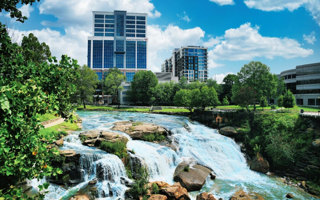 What Are the Most Common Pest Problems in Greenville, SC?